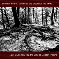 Debtor Tracing requires special skills, good access to information and experience. At CLI we have this know-how for the UK market and we have developed our own tracing techniques over a 20 year period. If you have lost touch with your debtors, we will help you find them and collect the debt they owe you.