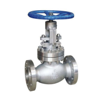 Steel Globe Valve Supplier 2