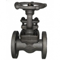 Perolehan UK untuk Globe Valves Carbon Steel 2